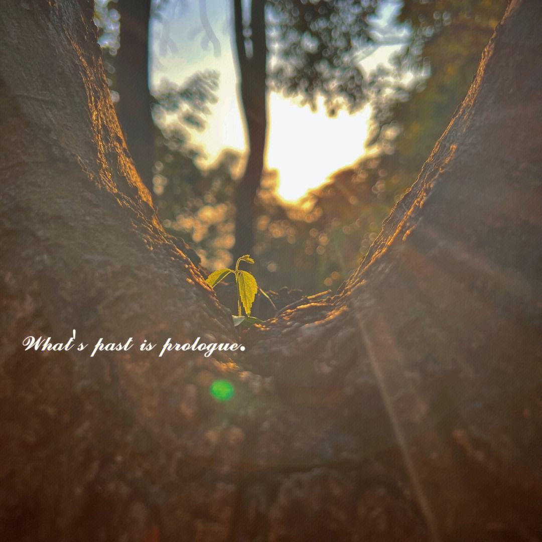 AG捕鱼官网app下载-关于柏林赫塔艰难求胜,表现不尽如人意的信息